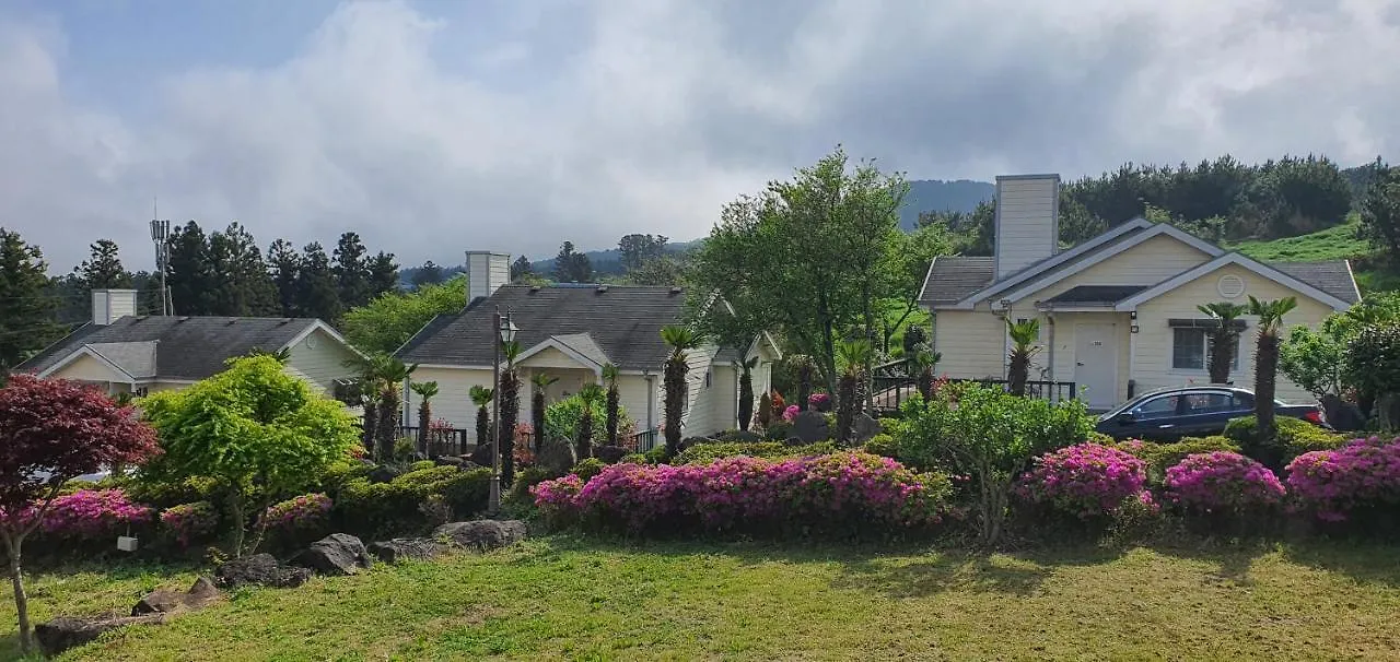 Jeju Skyline Pension 0*,  Южная Корея