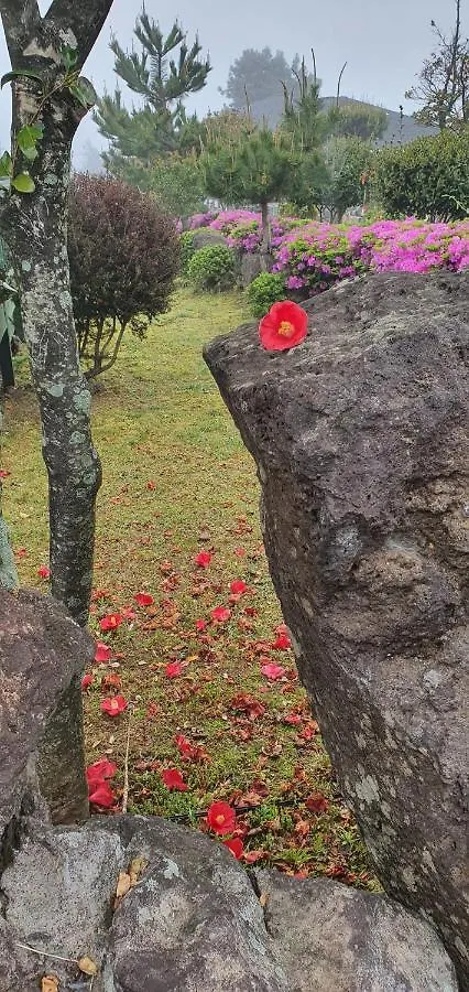 Jeju Skyline Pension Дом отдыха