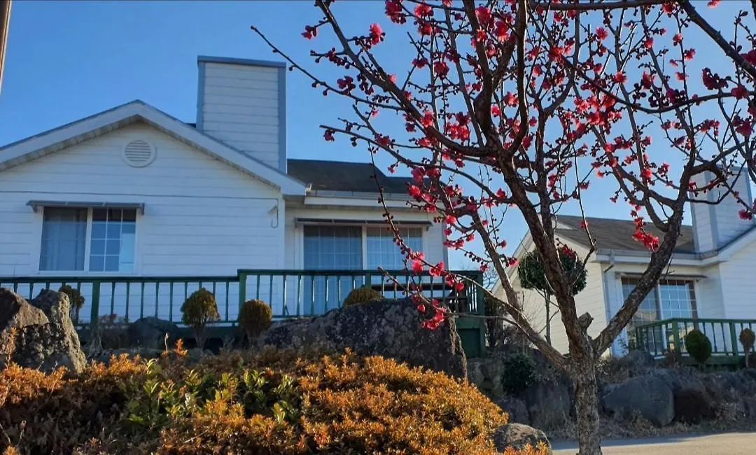Jeju Skyline Pension Южная Корея