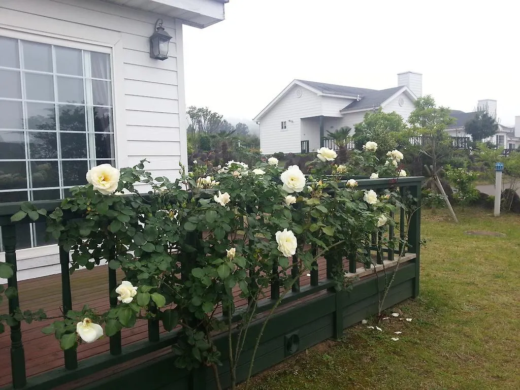 Дом отдыха Jeju Skyline Pension