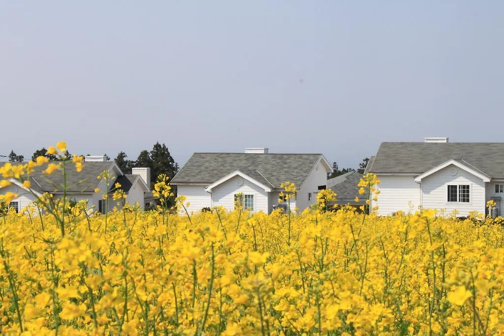 Jeju Skyline Pension 0*,  Южная Корея
